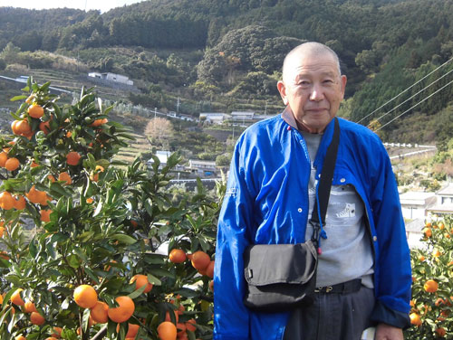 細江農産物供給センターみかん農家