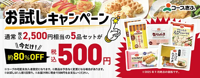 人気商品お試しセット今だけ税込500円