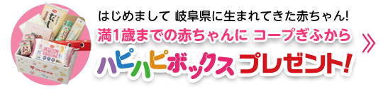 岐阜県に生まれてきた満1歳までの赤ちゃんにハピハピボックスプレゼント