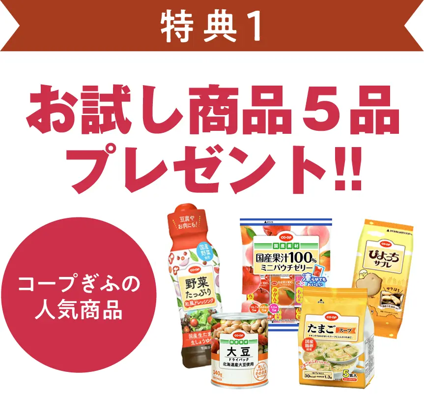 特典1 お試し商品プレゼント!