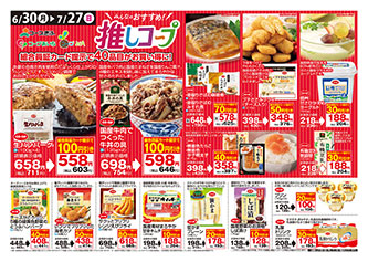 チラシサムネイル画像